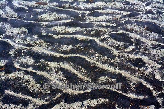 underwater pattern 3711 9 graphic